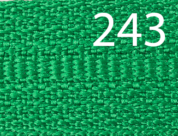 Бегунок Т5 № 243